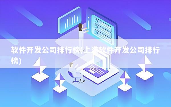 软件开发公司排行榜(上海软件开发公司排行榜)