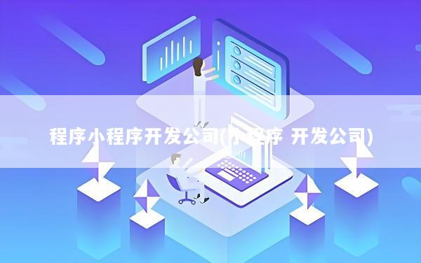 程序小程序开发公司(小程序 开发公司)