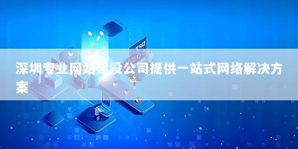 深圳专业网站建设公司提供一站式网络解决方案